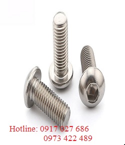 Bu lông lục giác chìm đầu cầu inox DIN 7380